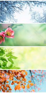 Four,Seasons.,A,Pictures,That,Shows,Four,Different,Pictures,Representing