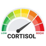 Cortisol,Level,Indicator,Vector,Illustration,With,Visual,Spectrum,From,Low