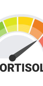Cortisol,Level,Indicator,Vector,Illustration,With,Visual,Spectrum,From,Low
