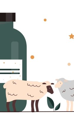 Set,Of,Items,For,Sleep.,Medicines,Od,Melatonin,In,Glass