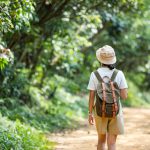 Hiker,Woman,Walk,In,Autumn,Fall,Nature,Forest