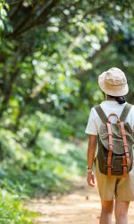 Hiker,Woman,Walk,In,Autumn,Fall,Nature,Forest
