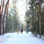 A,Family,Walking,Hand,In,Hand,Through,A,Picturesque,,Snow-covered