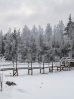 Walking,Bridge,Across,The,Strait,Of,Malonsalmi,And,Winter,View