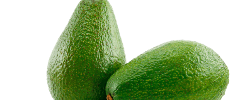 avocado