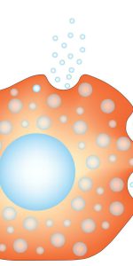 histamine 1